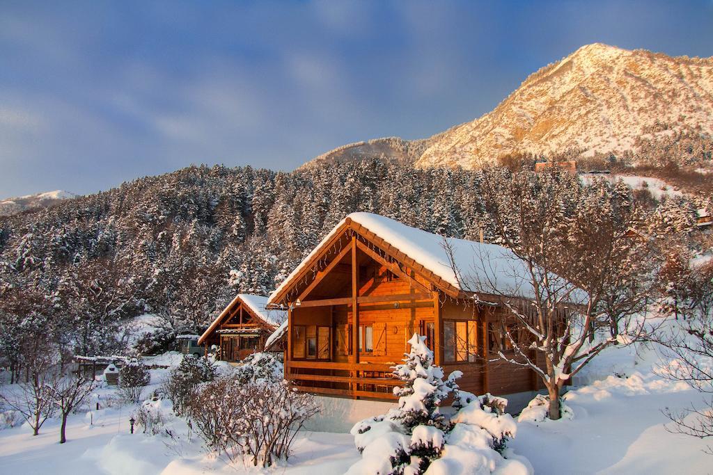 Chalet Carpe Diem La Bâtie-Neuve Rom bilde